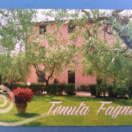Tenuta Fagnani Lucca Værelse billede